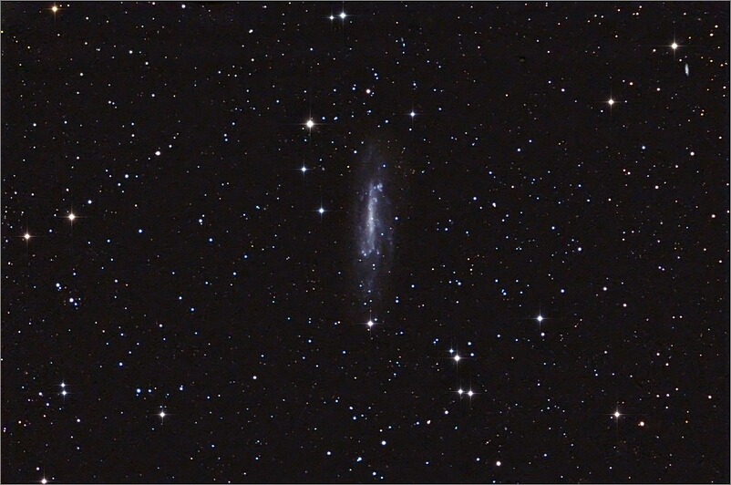 NGC 4236 